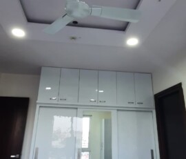 Lighting POP Designer in vadodara